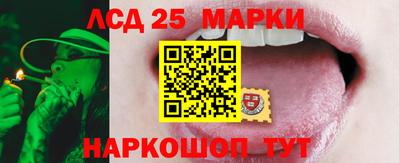 прущие грибы Можайск