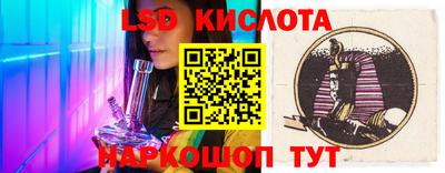 прущие грибы Можайск