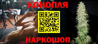 прущие грибы Можайск
