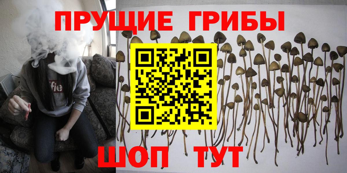 Всеволожск  Псилоцибиновые грибы мухоморы  Вход с VPN 