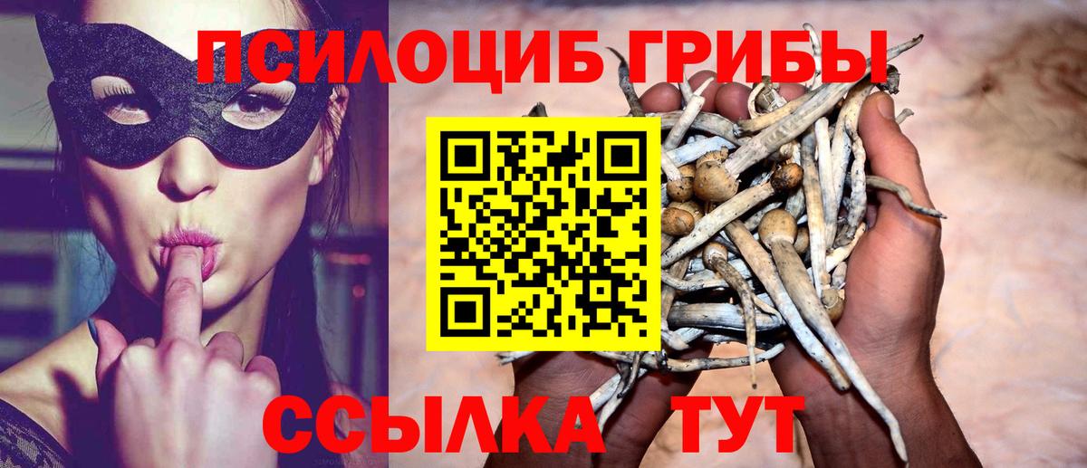 Галлюциногенные грибы прущие грибы Всеволожск